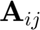 $\mathbf{A}_{ij}$
