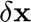 $\delta \mathbf{x}$