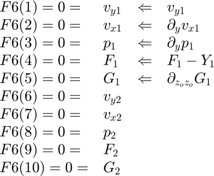 $$ \begin{array}{llcl}
F6(1) = 0 = & v_{y1} & \Leftarrow  & v_{y1}   \\
F6(2) = 0 = & v_{x1} & \Leftarrow & \partial_y v_{x1} \\
F6(3) = 0 = & p_{1} &  \Leftarrow & \partial_y p_1\\
F6(4) = 0 = & F_{1} & \Leftarrow  & F_1 -Y_1 \\
F6(5) = 0 = & G_{1} & \Leftarrow &  \partial_{z_o z_o} G_1\\
F6(6) = 0 = & v_{y2} &  & \\
F6(7) = 0 = & v_{x2} &  & \\
F6(8) = 0 = & p_{2} &   & \\
F6(9) = 0 = & F_{2} &   & \\
F6(10) = 0 = & G_{2} &  & \\
\end{array} $$
