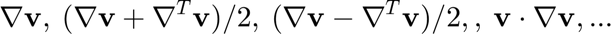 $$ \nabla \mathbf{v}, \: (\nabla \mathbf{v} + \nabla^T \mathbf{v})/2 , \: (\nabla \mathbf{v} - \nabla^T \mathbf{v})/2, , \: \mathbf{v} \cdot \nabla \mathbf{v},...$$